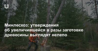 Минлесхоз: утверждения об увеличившейся в разы заготовке древесины выглядят нелепо - news.tut.by - Строительство