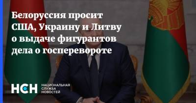 Александр Лукашенко - Белоруссия просит США, Украину и Литву о выдаче фигурантов дела о госперевороте - nsn.fm - Белоруссия - Литва - Минск