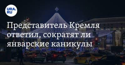 Владимир Путин - Дмитрий Песков - Представитель Кремля ответил, сократят ли январские каникулы - ura.news