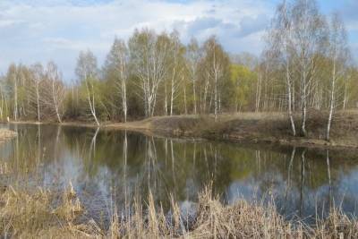 В Старожиловском районе в реке массово погибла рыба - rzn.mk.ru
