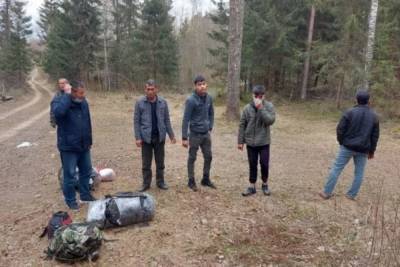 Выходцы из Азии пытались незаконно пересечь границу в Псковской области - mk-pskov.ru - Ленинградская обл. - Псковская обл. - Псков