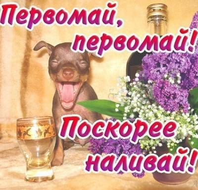 1 мая: шуточные поздравления и прикольные открытки - narodna-pravda.ua - Киргизия