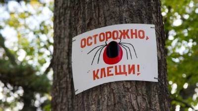В Астраханской области начался сезон активности клещей - astrakhanfm.ru - Астраханская обл.