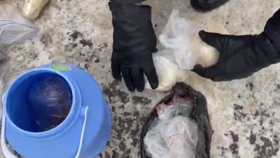 Липчанину грозит пожизненный срок за торговлю наркотиками и отмывание денег - lipetskmedia.ru - Липецк