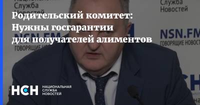 Родительский комитет: Нужны госгарантии для получателей алиментов - nsn.fm