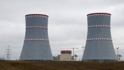 В Белоруссии рассказали о ходе работ на первом энергоблоке БелАЭС - russian.rt.com