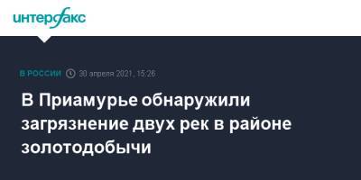 В Приамурье обнаружили загрязнение двух рек в районе золотодобычи - interfax.ru - Москва - Амурская обл.