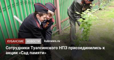 Сотрудники Туапсинского НПЗ присоединились к акции «Сад памяти» - kubnews.ru - Туапсе