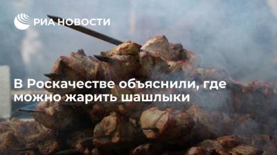В Роскачестве объяснили, где можно жарить шашлыки - ria.ru - Москва - Россия