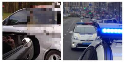 Бела Церкви - Под Киевом авто на большой скорости влетело в лося: детали и жуткие кадры - politeka.net - Киев - Киевская обл.