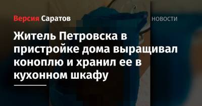 Житель Петровска в пристройке дома выращивал коноплю и хранил ее в кухонном шкафу - nversia.ru - Петровск