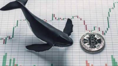 Почему «киты» не перестают скупать биткоин? - cryptowiki.ru - Santiment