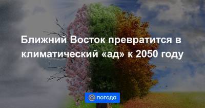 Ближний Восток превратится в климатический «ад» к 2050 году - news.mail.ru