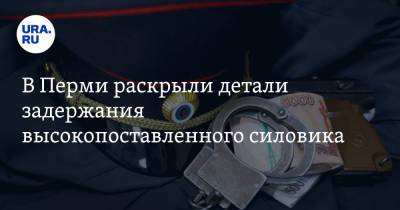 В Перми раскрыли детали задержания высокопоставленного силовика - ura.news - Пермь - Пермский край