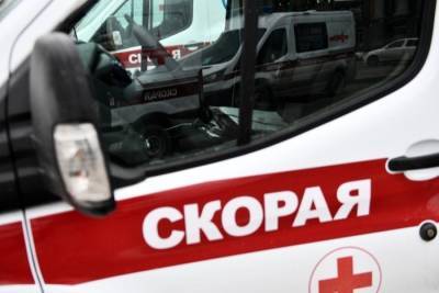 Шестеро детей погибли в аварии с участием автобуса и грузовика в Ставропольском крае - interfax-russia.ru - Волгоград - Астрахань - Ставрополье - Ставрополь - Черкесск