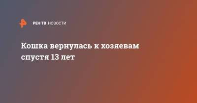Кошка вернулась к хозяевам спустя 13 лет - ren.tv - Англия - Великобритания