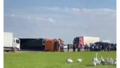 В ДТП с автобусом под Ставрополем погибли шесть детей - piter.tv - Волгоград - Астрахань - Ставрополье - Ставрополь - Черкесск