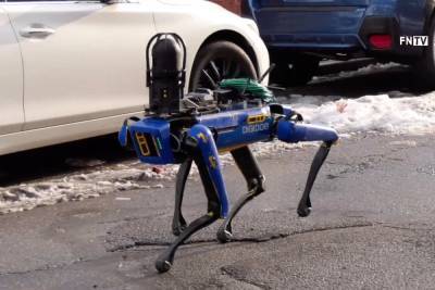 Джон Миллер - Полиция Нью-Йорка отказалась от использования робота Spot под давлением общественного мнения - itc.ua - США - Нью-Йорк - Нью-Йорк - Boston