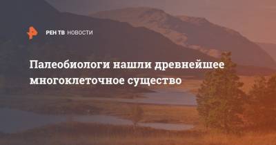 Палеобиологи нашли древнейшее многоклеточное существо - ren.tv - Англия - Шотландия - Великобритания