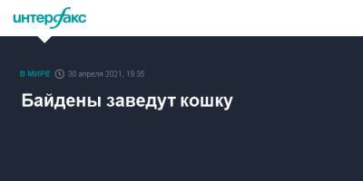 Джилл Байден - Джо Байден - Байдены заведут кошку - interfax.ru - Москва - США