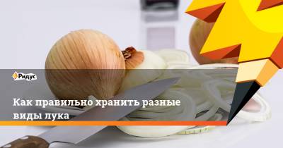Как правильно хранить разные виды лука - ridus.ru