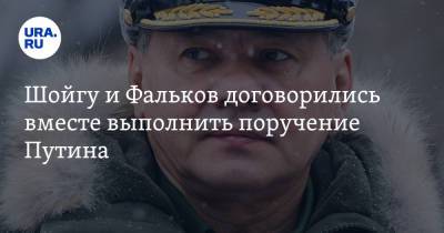 Сергей Шойгу - Владимир Путин - Валерий Фальков - Шойгу и Фальков договорились вместе выполнить поручение Путина - ura.news