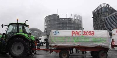 В Страсбурге 1500 тракторов заблокировали въезд в Европарламент - как выглядит протест, фото, видео - ТЕЛЕГРАФ - telegraf.com.ua