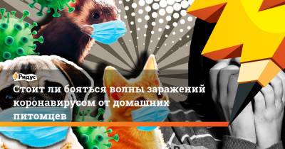 Александр Гинцбург - Стоит ли бояться волны заражений коронавирусом от домашних питомцев - ridus.ru