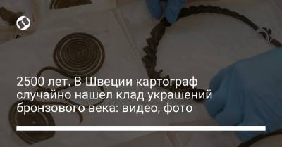 2500 лет. В Швеции картограф случайно нашел клад украшений бронзового века: видео, фото - liga.net - Швеция