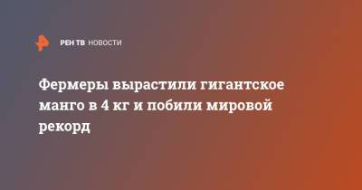 Фермеры вырастили гигантское манго в 4 кг и побили мировой рекорд - ren.tv - Колумбия