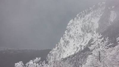 Сильный дождь: какой будет погода в Крыму в воскресенье - crimea.ria.ru - Крым - Симферополь - Севастополь