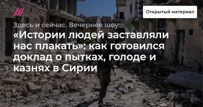 Светлана Ганнушкина - «Истории людей заставляли нас плакать»: как готовился доклад о пытках, голоде и казнях в Сирии - tvrain.ru - Сирия - Санкт-Петербург - Турция - респ. Чечня - Ливан