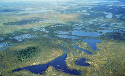 Nature (Великобритания): каким образом микроорганизмы в вечной мерзлоте могут спровоцировать появление мощной «углеродной бомбы»? - inosmi.ru - Англия - Швеция