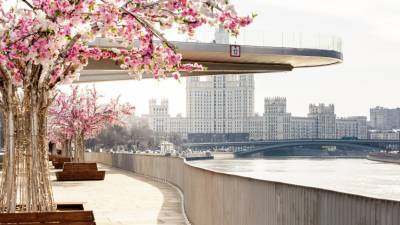 Евгений Тишковец - В Москве в следующие выходные потеплеет до +14 градусов - mir24.tv - Москва