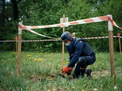 Более 100 пиротехников разминируют территорию Донбасса – ГСЧС - gordonua.com - Украина - Луганская обл. - Донбасс - Донецкая обл.
