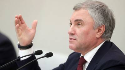 Вячеслав Володин - Володин призвал Украину остановить боевые действия в Донбассе - gazeta.ru - ДНР - ЛНР - Гаага