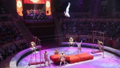 Акробат цирка на Фонтанке в Петербурге попал в больницу после падения с качелей - 5-tv.ru - Санкт-Петербург