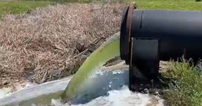 Во Флориде — угроза разлива химикатов: объявили чрезвычайное положение - tsn.ua - шт.Флорида
