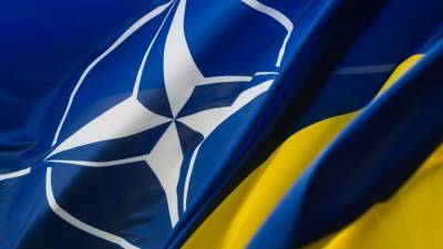 Руслан Хомчак - Иван Мезюхо - Политолог объяснил, почему заявление главкома ВСУ не изменит позицию НАТО по Украине - politros.com - Украина
