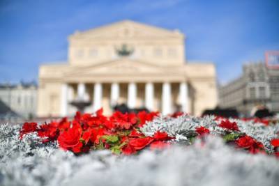 Ирина Ярцева - «Аллергия предсказуема»: москвичей предупредили о «всплеске пыльцы» в мае - vm.ru - Москва