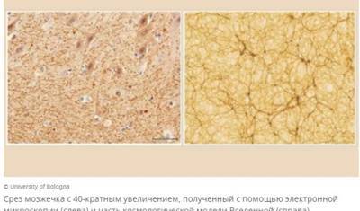По образу и подобию: найдено новое доказательство существования Бога - newizv.ru
