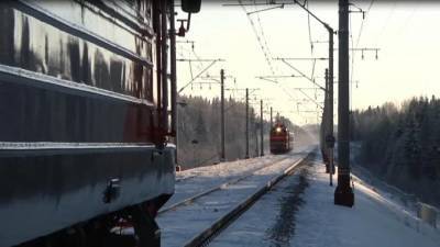 Петербуржец в качестве компенсации получил 100 тыс. рублей за падение с верхней полки поезда - piter.tv - Санкт-Петербург - Мурманск