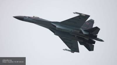 Леонков объяснил, почему видео с российским Су-35 заворожило американцев - newinform.com