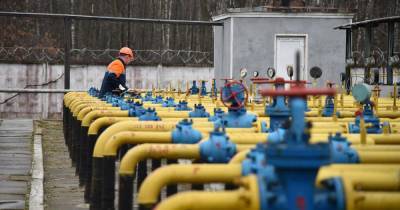Сергей Макогон - Украина испугалась сокращения транзита российского газа - ren.tv - Россия - Украина
