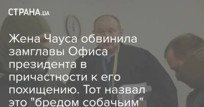 Андрей Смирнов - Николай Чаус - Жена Чауса обвинила замглавы Офиса президента в причастности к его похищению. Тот назвал это "бредом собачьим" - strana.ua - Молдавия