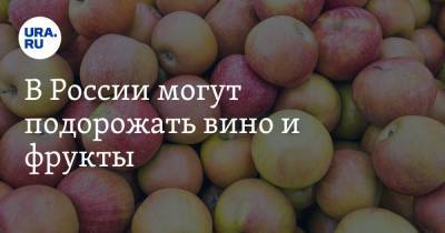 В России могут подорожать вино и фрукты - ura.news - Молдавия