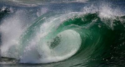 Жителей Флориды предупредили об угрозе шестиметровой волны с химикатами - lenta.ua - шт.Флорида