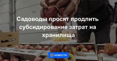 Дмитрий Патрушев - Садоводы просят продлить субсидирование затрат на хранилища - news.mail.ru - Ставрополье