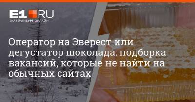 Артем Устюжанин - Оператор на Эверест или дегустатор шоколада: подборка вакансий, которые не найти на обычных сайтах - e1.ru - Екатеринбург