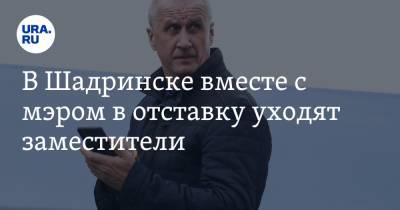 Виктор Ермишкин - В Шадринске вместе с мэром в отставку уходят заместители - ura.news - Шадринск